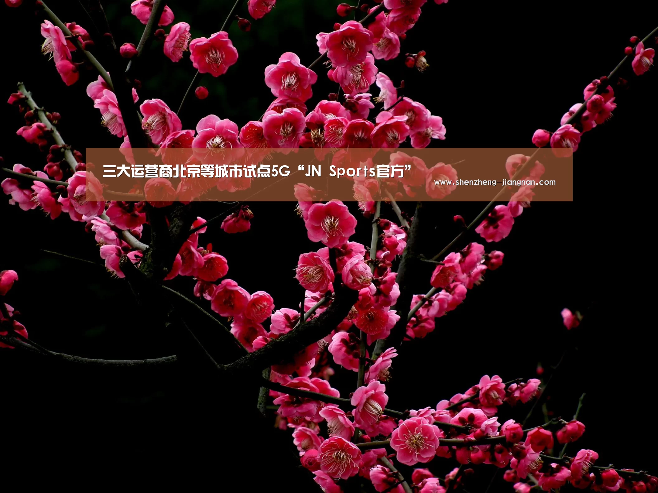 Jiangnan Sports入口